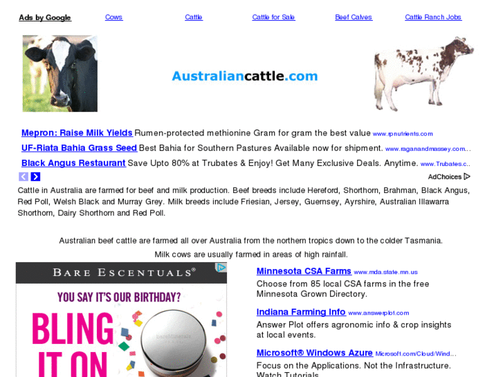 www.australiancattle.com