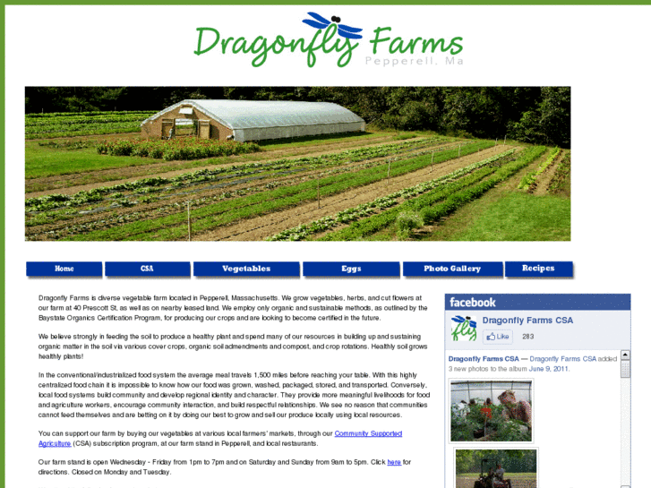 www.dragonfly-farms.com