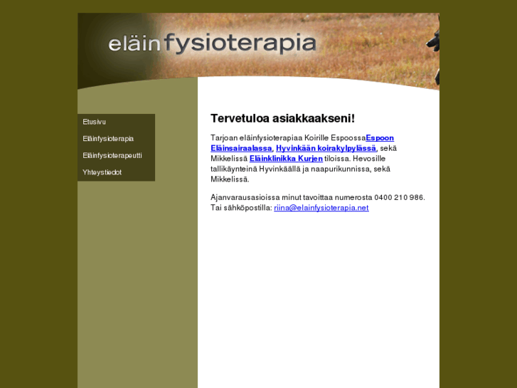 www.elainfysioterapia.net