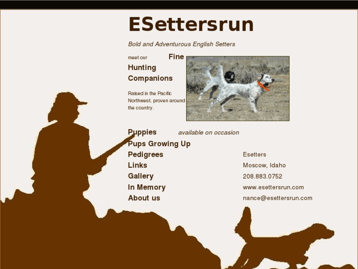 www.esettersrun.com