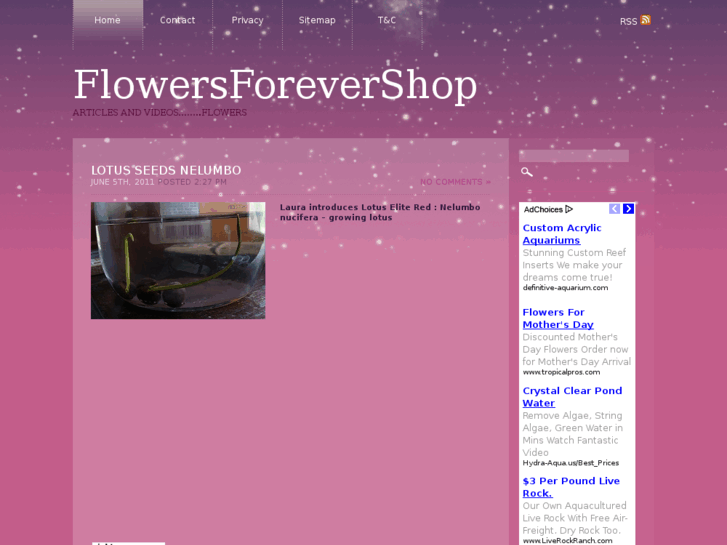 www.flowersforevershop.com