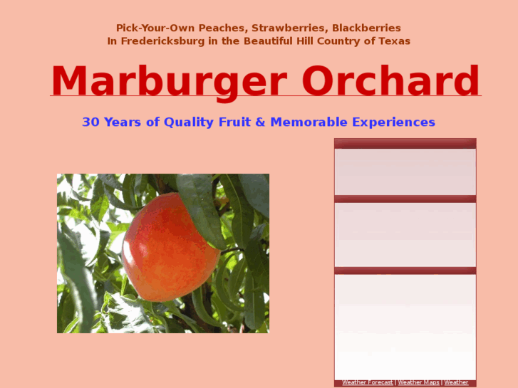 www.marburgerorchard.com