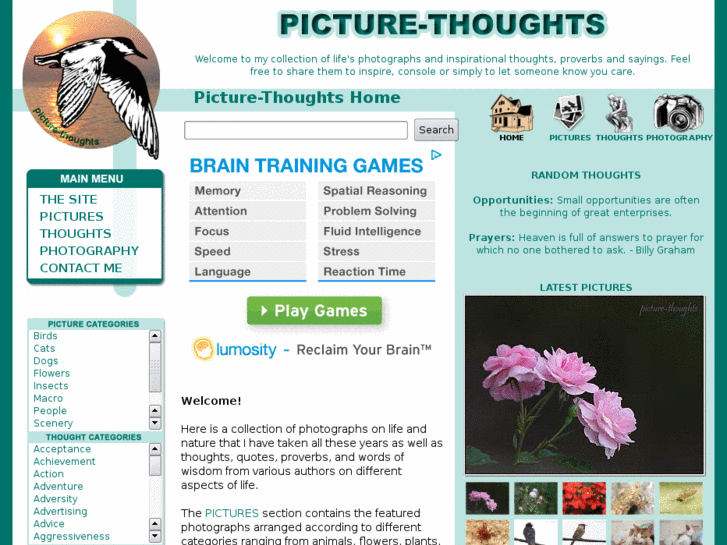 www.picture-thoughts.com