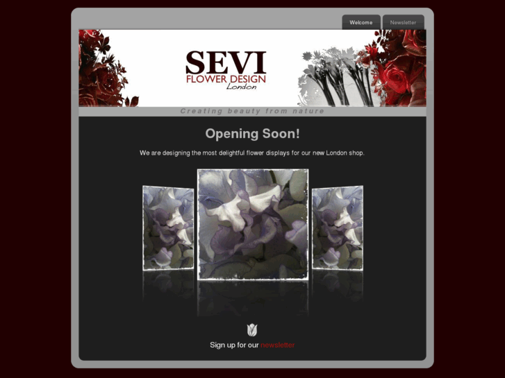 www.sevidesign.com
