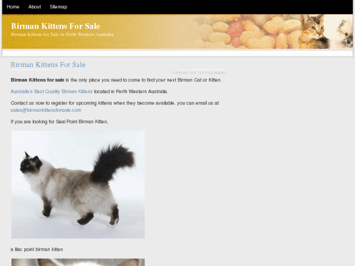 www.birmankittensforsale.com