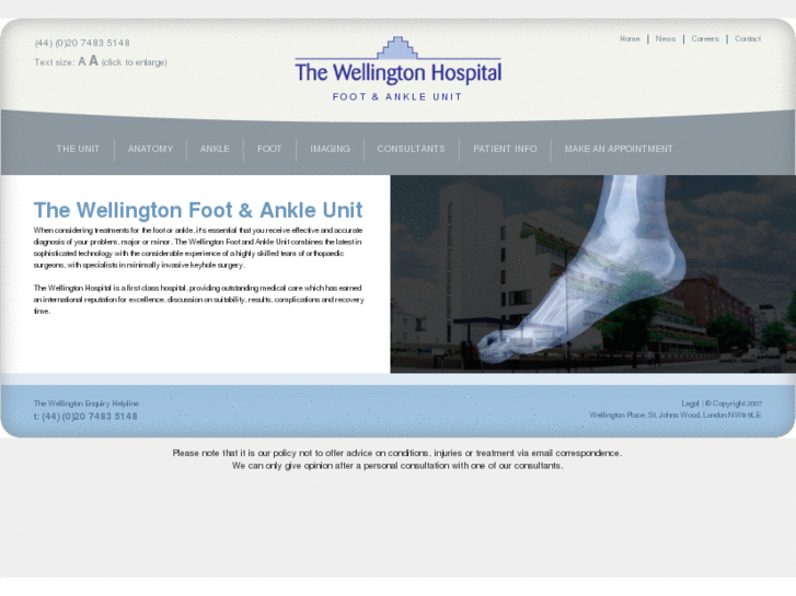 www.thewellingtonfootandankleclinic.com