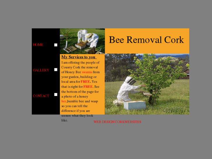 www.beeremovalcork.com