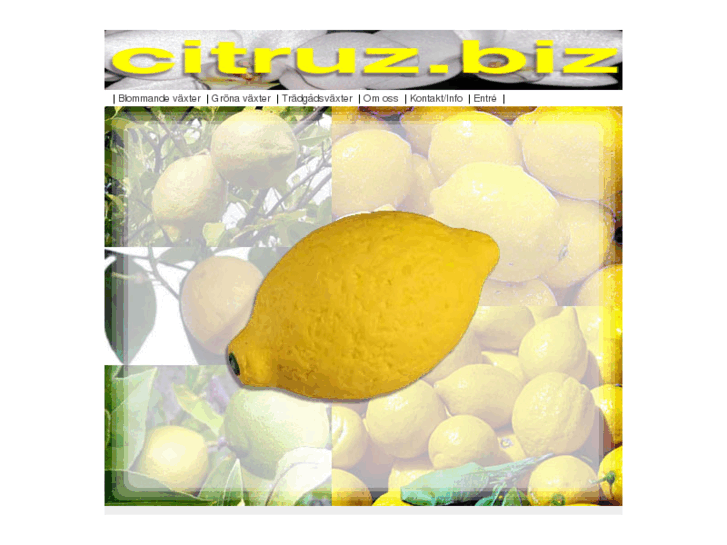 www.citruz.biz