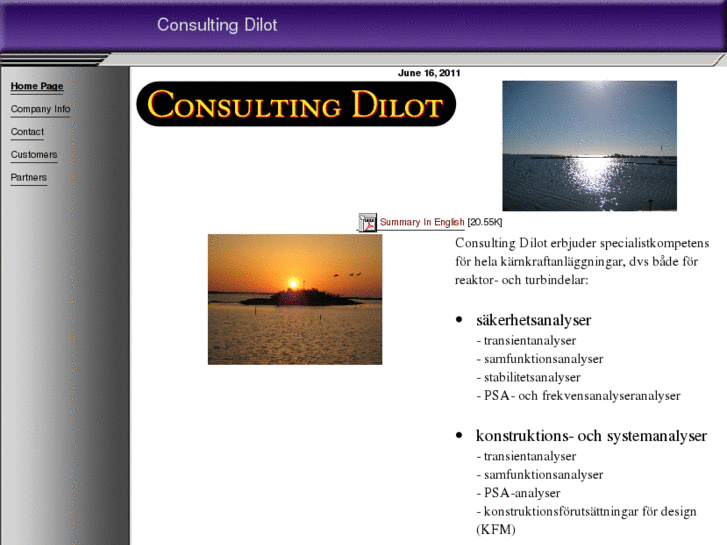 www.consultingdilot.com