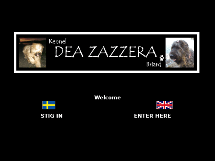 www.deazazzera.se