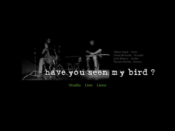 www.haveyouseenmybird.org