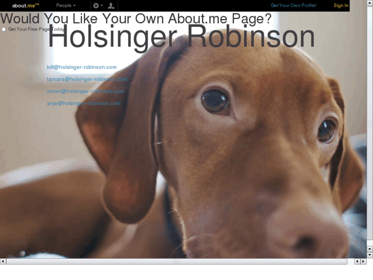 www.holsinger-robinson.com