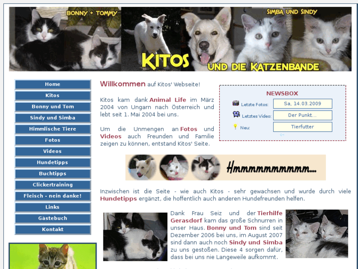 www.kitos.at