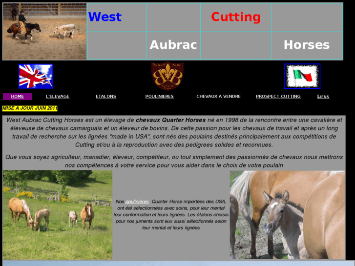 www.west-aubrac-horses.com
