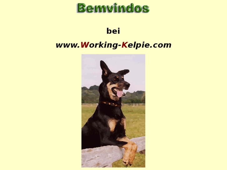 www.working-kelpie.com