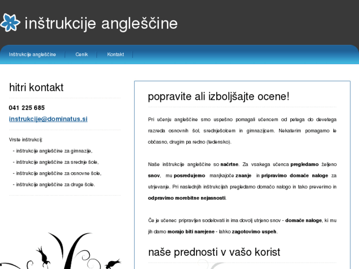 www.instrukcije-anglescine.com