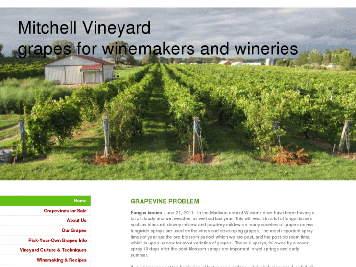 www.mitchell-vineyard.com