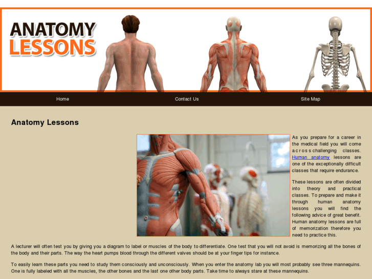 www.anatomylessons.com