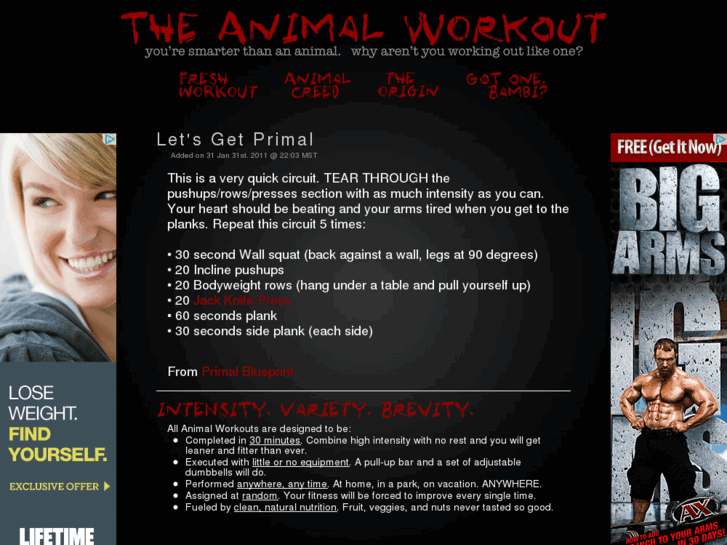 www.animal-workout.com