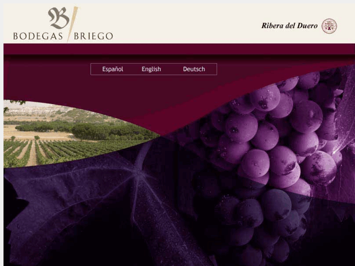 www.bodegasbriego.com