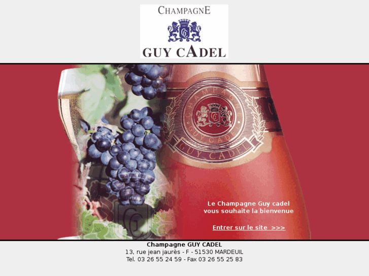 www.champagne-guy-cadel.com