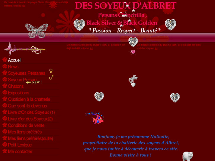 www.des-soyeuxdalbret.com