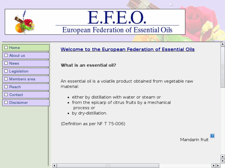 www.efeo-org.org