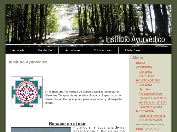 www.institutoayurvedico.com