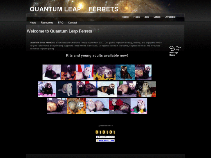 www.quantumleapferrets.com