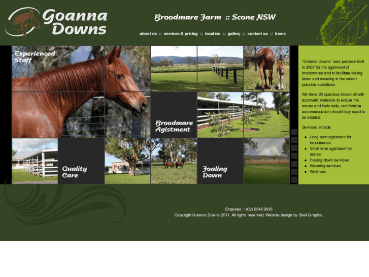 www.goannadowns.com