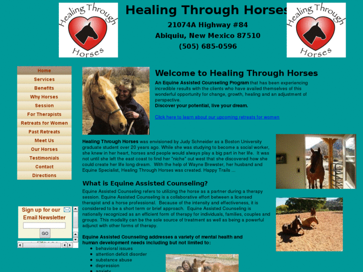 www.healingthroughhorses.net