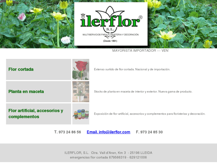 www.ilerflor.com