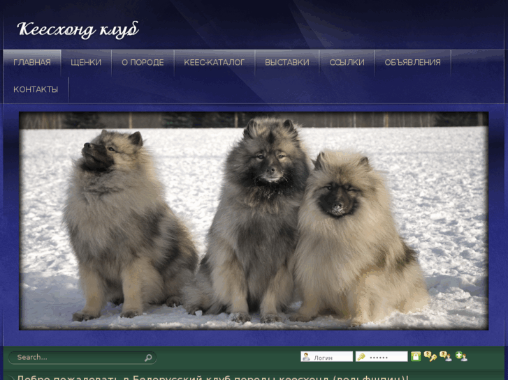 www.keeshond.by