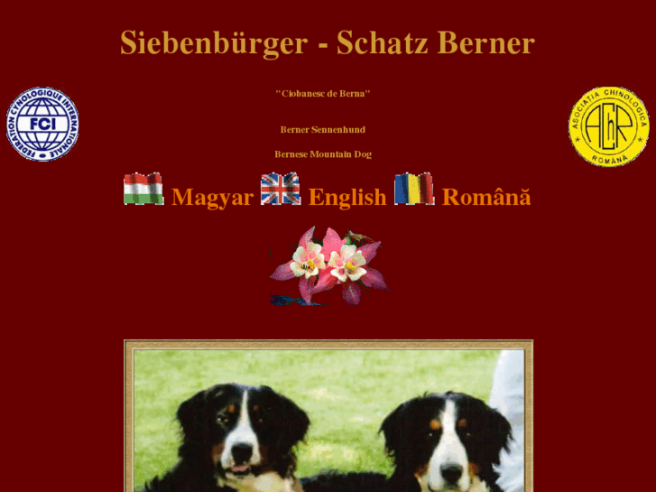 www.sm-berner.com