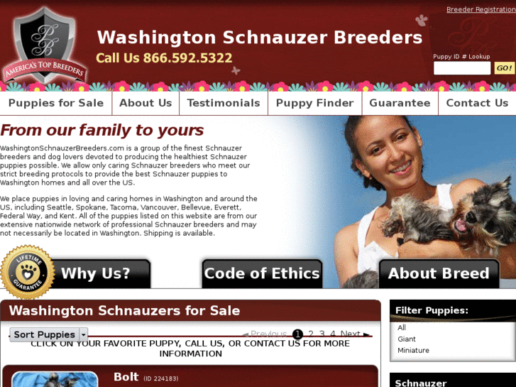 www.washingtonschnauzerbreeders.com