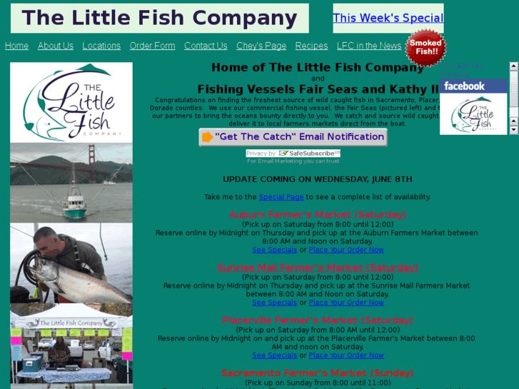 www.wildlittlefish.com