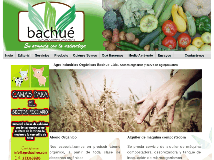 www.agrobachue.com