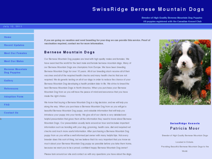 www.bernesemountaindogpuppies.ca