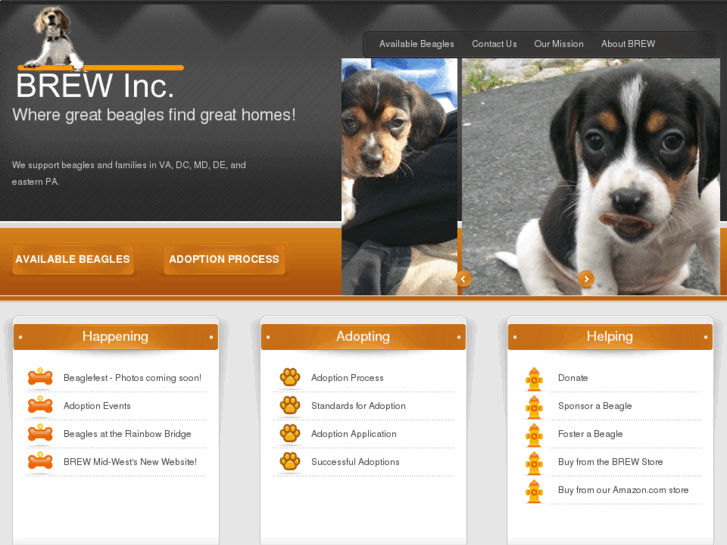 www.brewbeagles.org