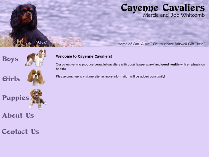 www.cayennecavaliers.com