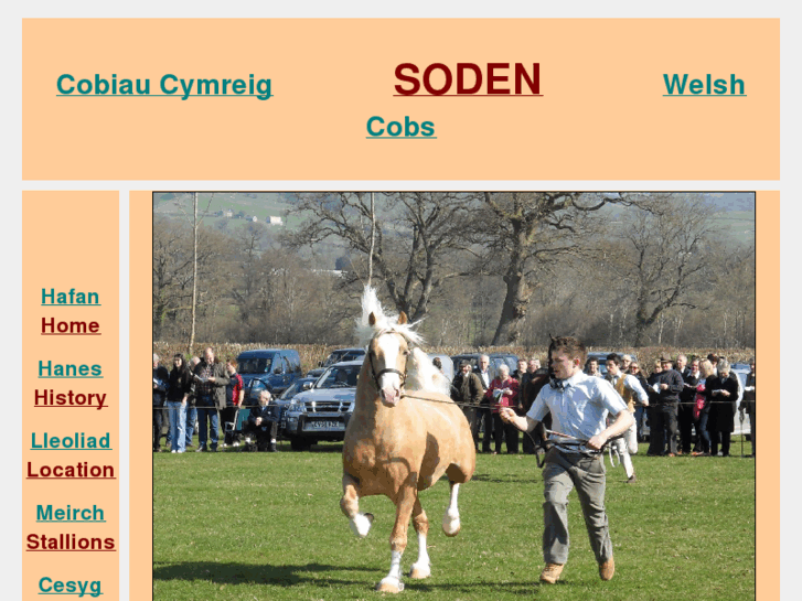 www.sodenwelshcobs.com