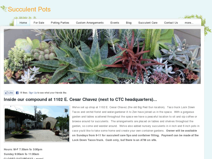 www.succulentpots.com