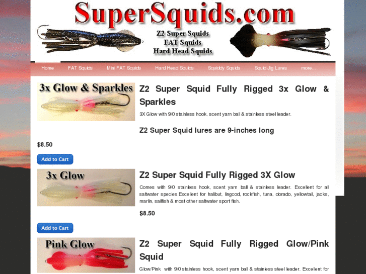 www.supersquids.com