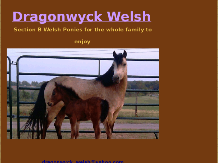 www.dragonwyckwelsh.com