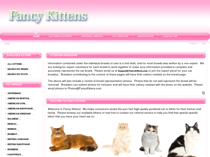 www.fancykittens.com