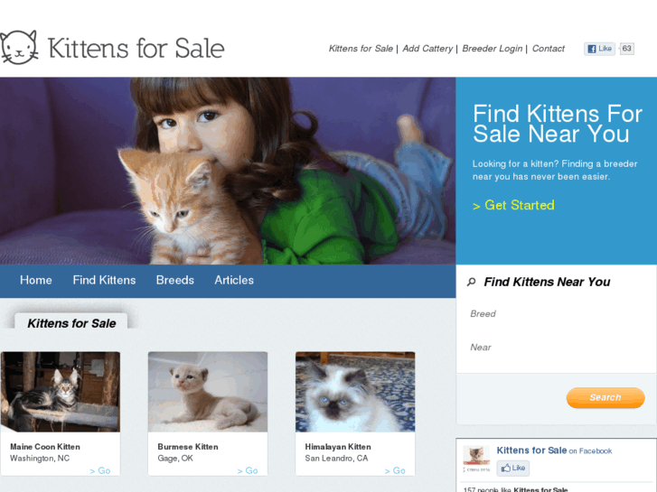 www.kittensforsale.com