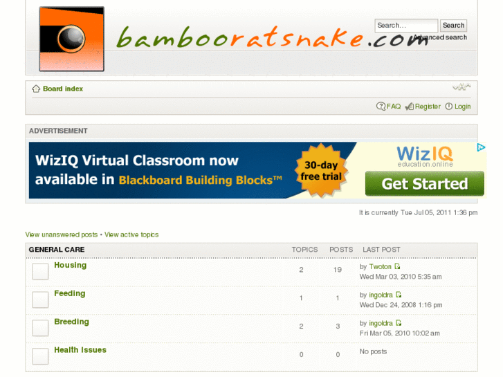 www.bambooratsnake.com