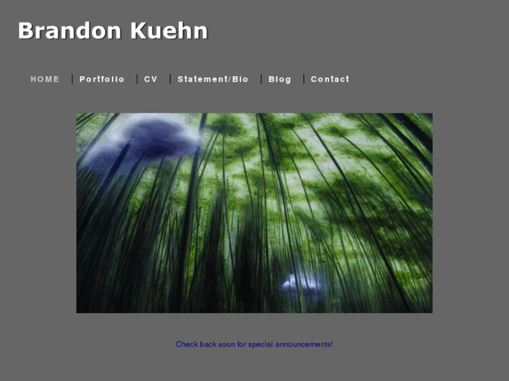 www.brandonkuehn.com