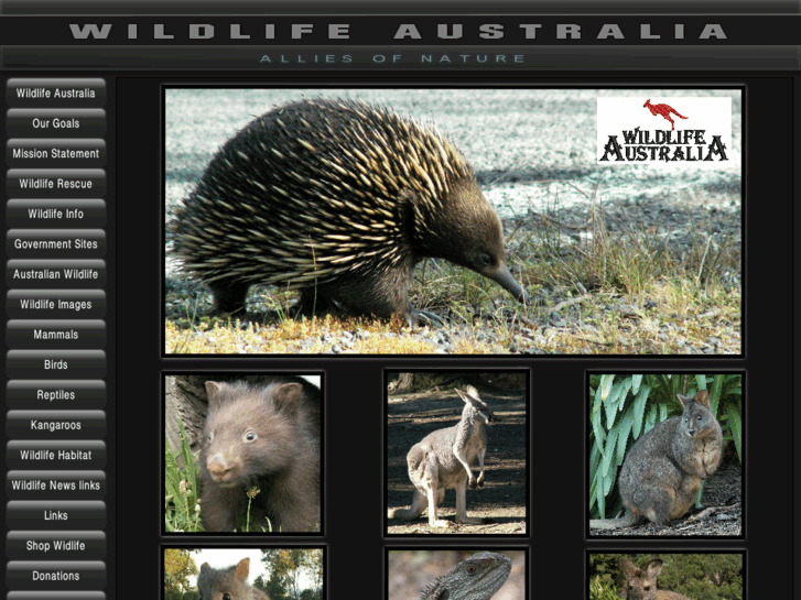 www.kangaroosanctuary.com