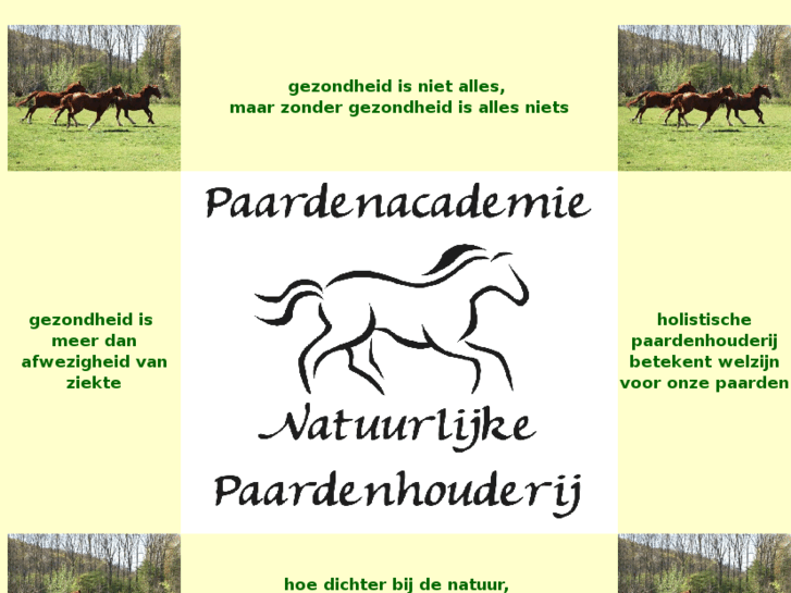 www.paardenacademie.nl